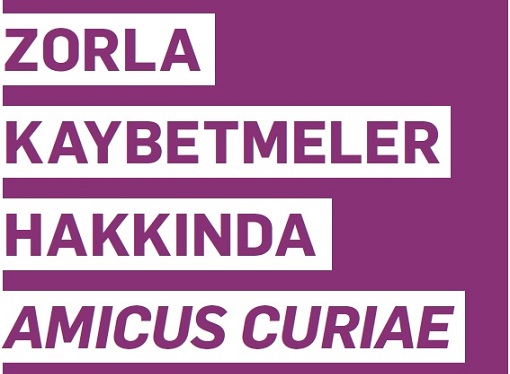 Zorla-Kaybetmeler-Hakkında-Amicus-Curiae