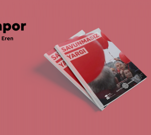 New Report: A Defenseless Defense