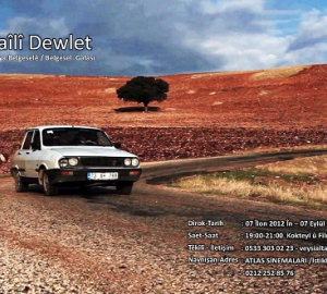 Not unsolved murders: “Official Murders”