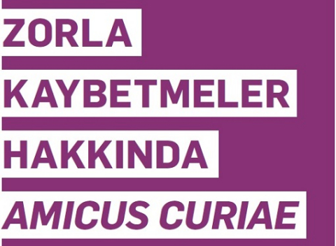Zorla-Kaybetmeler-Hakkında-Amicus-Curiae
