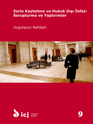 Zorla Kaybetme ve Hukuk Dışı İnfaz: Soruşturma ve Yaptırımlar Uygulayıcı Rehberi